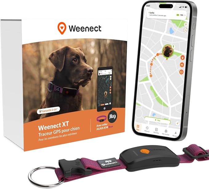 Weenect Chien XT avec collier Julius-K9 par Weenect